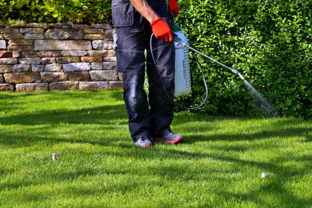 Indoor Pest Control in Nutter Fort, WV